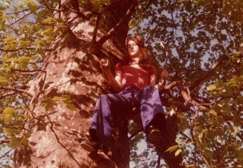 Andy im Baum